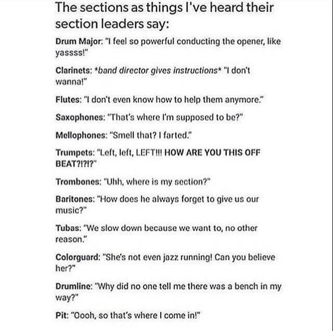 THIS IS LITERALLY MY SAX SECTION!!! My first two years I said that almost constantly, now when the freshmans say it, I get pissed Marching Band Drumline Memes, Funny Band Jokes, Color Guard Quotes, Marching Band Jokes, Marching Band Memes, Band Problems, Soulmate Au, District 9, Musician Humor