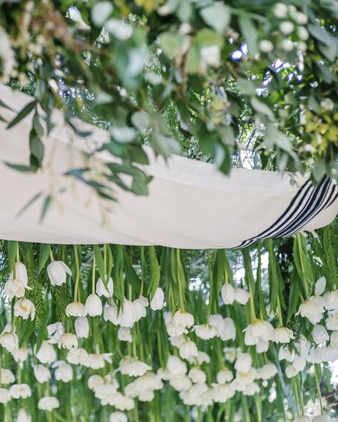 Huppah Wedding, Jewish Wedding Chuppah, Branch Arch Wedding, Modern Ketubah, Chuppah Ideas, Chuppah Flowers, Wedding Locations California, Wedding Chuppah, Ojai Valley