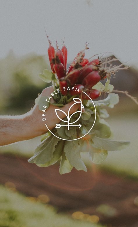 Farm Instagram, Farmer Branding, Community Farm, Farm Shop Branding, Flower Farm Branding, Farm To Table Logo, Homestead Branding, Farmhouse Branding, Farm Products