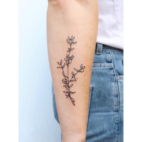 Z A Y A on Instagram: “Wanted to repost this beautiful little thyme, from a little time ago ❣️ . . .…” Small Sage Tattoo, Wild Thyme Tattoo, Thyme Flower Tattoo, Rosemary And Thyme Tattoo, Straight Tattoo, Fine Line Flower Tattoo Lavender, Sage Tattoo, Thyme Flower, Fineline Tattoos