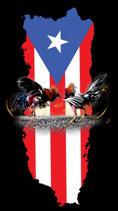 Download Puerto rico wallpaper by Chucho76 - 07 - Free on ZEDGE™ now. Browse millions of popular black Wallpapers and Ringtones on Zedge and personalize your phone to suit you. Browse our content now and free your phone Puerto Rico Wallpaper, Puerto Rican Power, Puerto Rico Tattoo, Puerto Rican Artwork, Puerto Rican People, American Flag Pictures, Puerto Rico Island, Hd Mobile Wallpaper, Anuel Aa Wallpaper