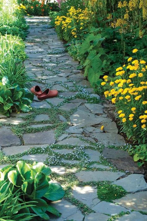 Flagstone Pathway, Backyard Walkway, Ground Covers, Garden Stepping Stones, Stone Walkway, Garden Walkway, Stone Path, Fine Gardening, Garden Pathway