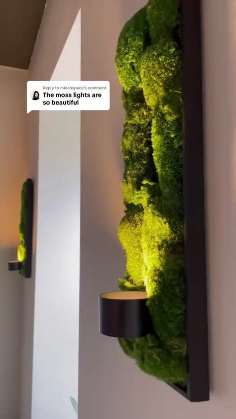 Moss Art Diy, Biophilic Furniture, Moss Picture Frame, Diy Moss Wall Art, Moss Ideas, Moss Gardens, Salon Aesthetic, Decor Checklist, Exhibit Ideas