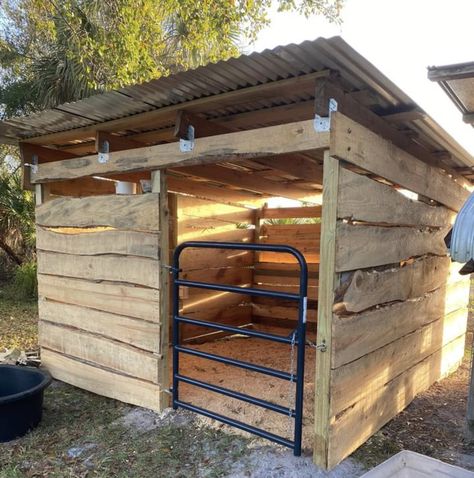 Goat Shed, Livestock Shelter, Goat Shelter, Horse Barn Ideas Stables, Goat House, Horse Shelter, Goat Barn, Farm Plans, Farm Projects