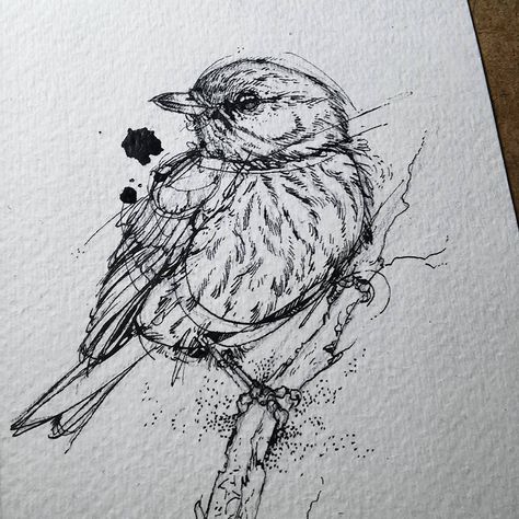 Bird Pen Sketch, Bird Sketches, Draw Birds, Tea Bag Art, Creepy Drawings, Bird Sketch, Dandelion Designs, Scribble Art, Pen Art Drawings