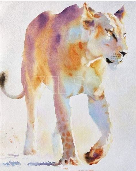 Watercolor Paintings Nature, Art Tutorials Watercolor, Big Cats Art, Animal Study, Watercolour Inspiration, Loose Watercolor, Wildlife Paintings, Nature Art Painting, Paintings I Love