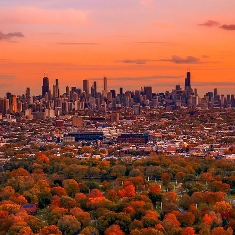 Choose Chicago on Instagram: "If you’ve never experienced fall in Chicago, don’t miss your chance 🤩🍂 

Rich fall colors peak in late October and early November!

🔗 Tap our link in bio for best places to see fall colors this season

📸: @cdats" Fall In Chicago, Miss You, Places To See, Fall Colors, Link In Bio, Tap, Chicago, Travel, Instagram