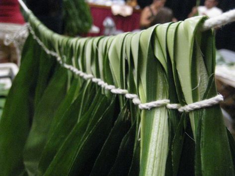 Back Side Samoan Lei, Graduation Leis Diy Ribbons, Hula Dancing, Tahitian Costumes, Ti Leaf, Ori Tahiti, Lei Making, Tahitian Dance, Polynesian Dance