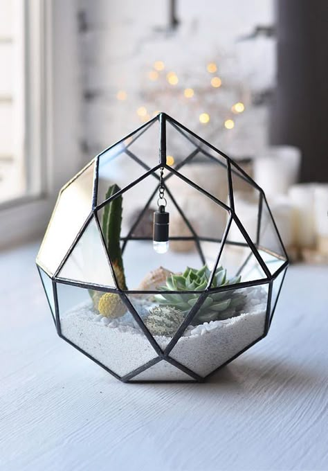 Terrarium Display, Stained Glass Terrarium, Terrarium Workshop, Modern Terrarium, Geometric Centerpiece, Terrarium Gifts, Terrarium Centerpiece, Open Terrariums, Cactus Terrarium