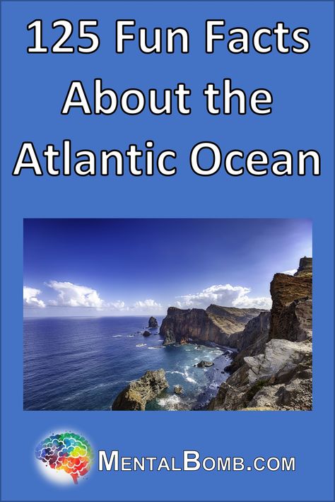 Over 125 fun facts about the Atlantic Ocean plus all about it's geography, plants, animals, people, cultures, legends, and so much more! #FunFacts Ocean Animal Research Project, Ocean Currents Activity, Ocean Currents Experiment, Creepy Ocean Facts, Fun Facts About Sea Animals, Ocean Ecosystem, Interesting Facts About World, Fast Facts, Oceanography