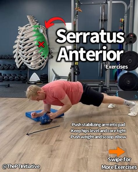 Dr. Adam McCluskey PT, DPT on Instagram: "💥Serratus Anterior Strength for Winging Scapula!💥 (Full Shoulder Program on sale in @theptinitiative bio link!...) . . 🔑The serratus anterior is an important muscle that sits underneath your shoulder blade and wraps around the side to your ribs. It plays a significant role in keeping your scapula moving optimally when reaching overhead. —- 🔎Sometimes when we don’t have optimal stability of the shoulder blade, the scapula can “wing out” leading to the popular term – scapular winging. — 🤓Don’t view winging scapula as a diagnosis but instead a description of movement quality. Whenever I see a scapula winging out with clients of mine, I use it as a guide to investigate further if their shoulder stabilizers need a bit of strengthening. — 🎯Many of Scapular Winging, Winged Scapula, Serratus Anterior, Rehab Exercises, Stretching, On Sale