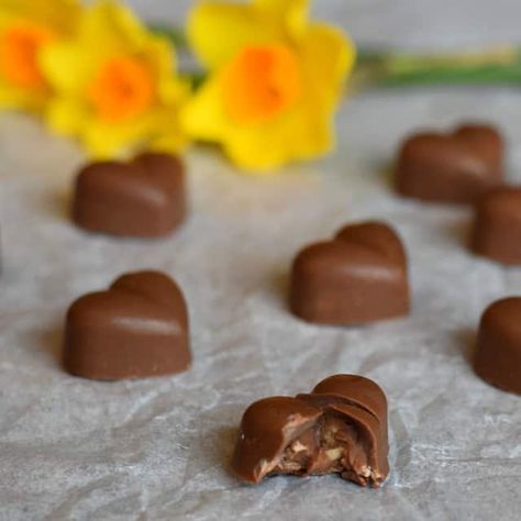 Chocolates Recipe, Hazelnut Ganache, Homemade Chocolate Candy, Chocolate Shapes, Chocolate Candy Recipes, Milk Chocolate Ganache, Chocolate Work, Marshmallow Treats, Chocolate Dreams