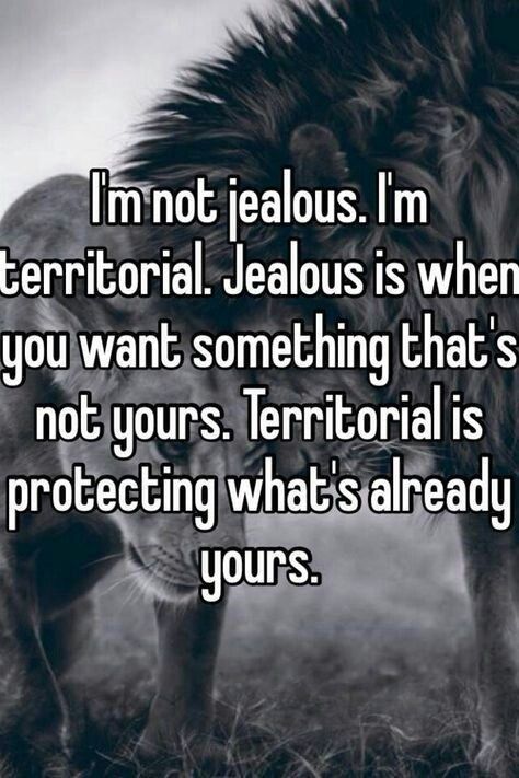 Animals Who Are So Jealous But Will Never Admit It (20 Memes) Love Quotes For Him Boyfriend, Wolf Quotes, Great Inspirational Quotes, Im Jealous, Warrior Quotes, Badass Quotes, A Lion, Infj, Inspirational Quotes Motivation