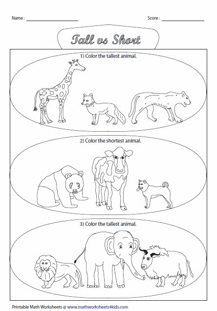 Tall Taller Tallest Worksheet, Tall Vs Short, Kindergarten Measurement Activities, Kindergarten Measurement, Measurement Kindergarten, Math Preschool, Seasons Worksheets, Tall And Short, Measurement Activities