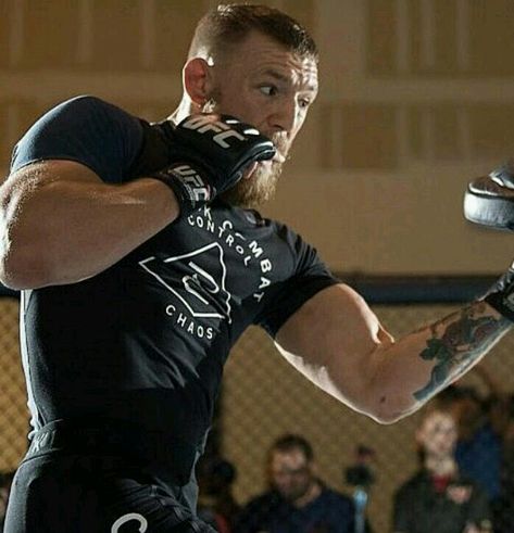 Mcgregor Training, Conner Mcgregor, Conor Mcgregor Style, Notorious Mcgregor, Ufc Conor Mcgregor, Martial Arts Gym, Mma Motivation, Connor Mcgregor, Boxing Images