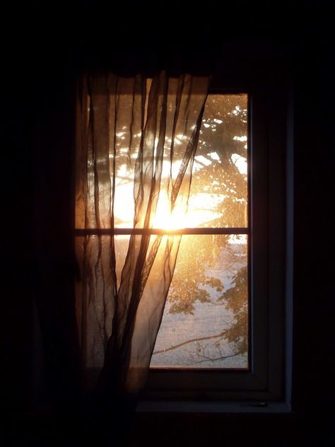 Sunshine Aesthetic, Dark Windows, Find Happiness, Looking Out The Window, Lit Wallpaper, Window View, Through The Window, Life Is Strange, Lens Flare