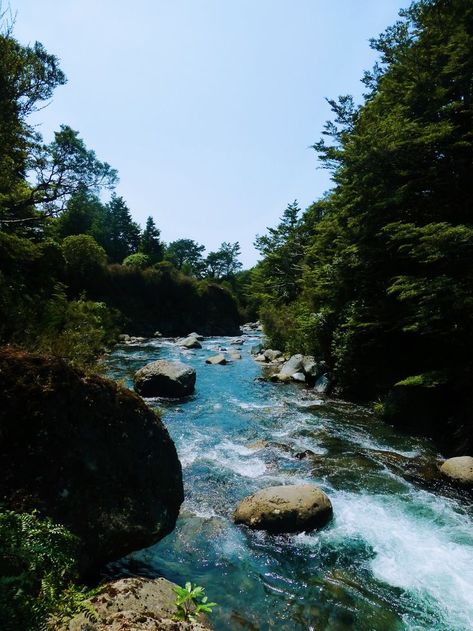 A sunny day at Tawhai Falls, New Zealand. Fall In New Zealand, Sunny Day, Sunny Days, New Zealand, Water, Travel