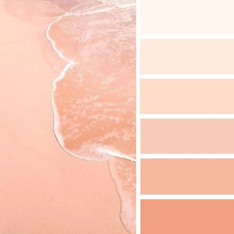 Peach Paint Colors, Peach Color Schemes, Peach Bedroom, Peach Color Palettes, Peach Paint, Background Orange, Orange Color Palettes, Color Aesthetic, Peach Aesthetic