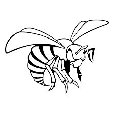 Hornet Drawing Art, Hornet Character Design, Hornet Logo Design, Hornet Svg Free, Hornet Insect, T Shirt Redesign, Hornets Logo, Bee Tattoos, Rainbow Logo