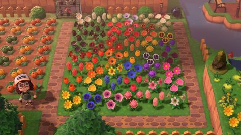 Acnh Rainbow Flower Garden, Acnh Rainbow, Rainbow Flower Garden, Flower Rain, Rainbow Flower, Island Ideas, Rainbow Flowers, Flower Field, Animal Crossing