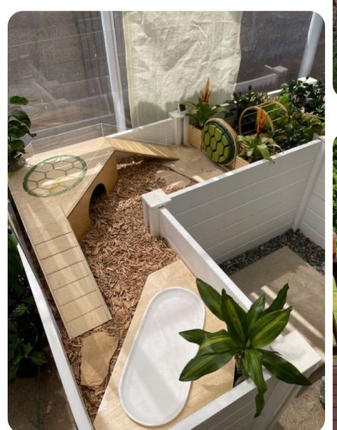 Tortoise Home Ideas, Cool Tortoise Enclosure, Small Tortoise Habitat Indoor, Turtle Enclosure Ideas, Box Turtle Enclosure Indoor, Tortoise Table Indoor Diy, Indoor Tortoise Habitat, Baby Tortoise Habitat Indoor, Tortoise Terrarium Indoor