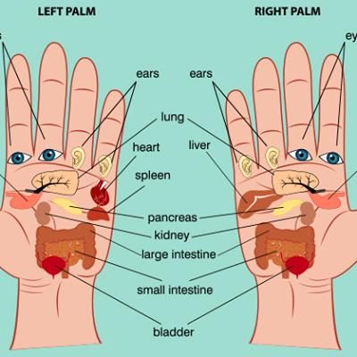 press these points on your palm to #relievePain. #Reflexology is considered a #holistic #Massage technique, that is, it focuses on the entire body to restore balance. Each organ, gland or body part corresponds to areas in both the hand and foot. When pressure is applied to the points on the hands or feet, it is believed to activate specific pressure sensors that stimulate the internal organs which each point is connected to. The perception of #pressureByFeet and hands taps into the energetic #re Reflexology Foot Chart, Hand Reflexology, Reflexology Chart, Psoas Muscle, Reflexology Massage, Hand Pain, Foot Reflexology, Hand Massage, Pressure Points