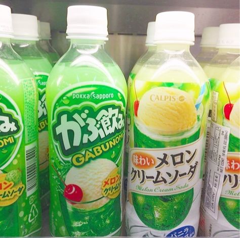 𝔬𝔫𝔦 ☤ Melon Soda, Bug Juice, Desain Signage, Japan Aesthetic, Aesthetic Japan, Cream Soda, Fun Dog, Korean Aesthetic, Fashion Friends