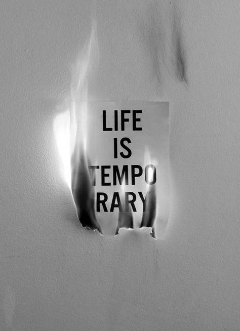 life is temporary, monochrome, retro, monochromatic, conceptual, one, art, text, old, danger, nature, winter, wall, electricity, alphabet Frank Zhang, Fear Of Flying, Leo Valdez, Typography Quotes, A Sign, On Fire, Percy Jackson, Words Quotes, Life Lessons