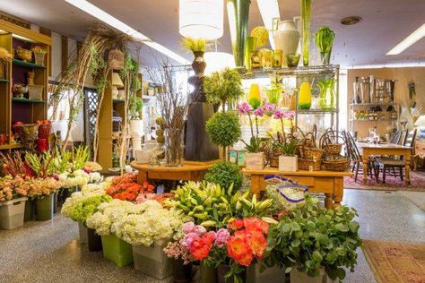 Flower Shop Business Plan Sample [Update 2022] | OGScapital Florist Business Plan, Cheap Flowers, Sample Business Plan, Flower Shops, Fresh Flower Delivery, Florist Shop, Floral Shop, Beautiful Flower Arrangements, Buy Flowers