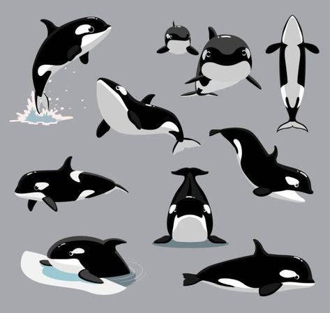 Orca Art, Whale Illustration, Killer Whale, Animal Cartoon, Marine Animals, Killer Whales, Art Appreciation, Children's Book Illustration, Free Vector Art