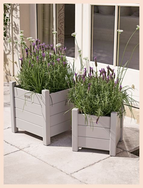 Planters Outdoor, Wooden Containers, Garden Planters Pots, English Country Garden, Porch Planters, Gardening Projects, Front Garden Design, Wood Planter, Garden Wallpaper