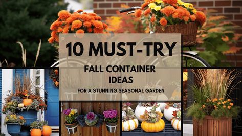 Is your garden feeling a bit blah as the weather cools down? Fall Container Plants, Fall Container Gardens, Ornamental Kale, Pumpkin Garden, Fall Containers, Yucca Plant, Window Planters, Container Ideas, Holly Tree