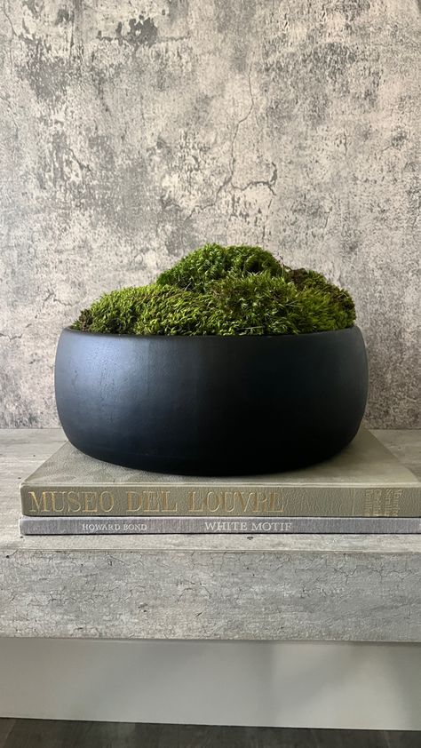 Masculine Plants Decor, Moss Arrangements Floral Design, Plants As Centerpieces, Home Plants Decor, Modern Zen Garden, Moss Bowl, Moss Centerpieces, Plant Centerpieces, Coffee Table Decor Living Room