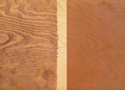 Staining Birch Plywood: Is It Possible To Avoid Blotching? | Popular Woodworking Magazine Birch Wood Stain, Staining Plywood, Wood Stain Ideas, Wood Finishing Techniques, Stained Plywood, Stain Guide, Plywood Cabinets, Wood Stain Colors, Woodworking Magazine