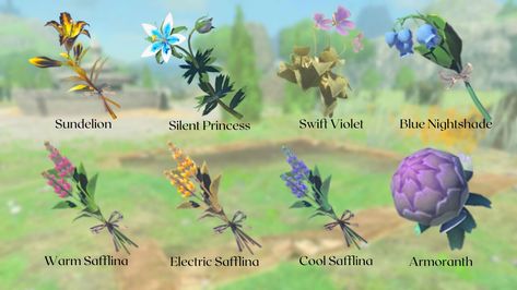 “Reply the name of the flower and i´ll add it to the small patch. Tomorrow you will see the result!” Zelda Botw Flowers, Legend Of Zelda Plants, Hyrule Field, Great Fairy Fountain Zelda Botw, Zelda Breath Of The Wild Shrine Map, Princess Flower, Language Of Flowers, Digital Media, Legend Of Zelda