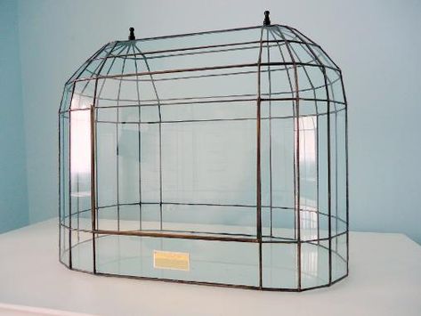 Diy Wardian Case, Terrarium House, Wardian Case Terrariums, Cabinet Terrarium, Diy Wardian Case Terrarium, Antique Terrarium, Lantern Terrarium, Victorian Terrariums, Glass Coffin Terrarium