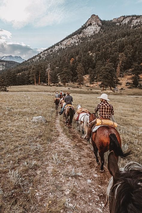 Western Trail, Hats Western, Country Backgrounds, Western Photo, Cowboy Pictures, Cowboy Aesthetic, Horse Camp, Horse Trail, Western Life