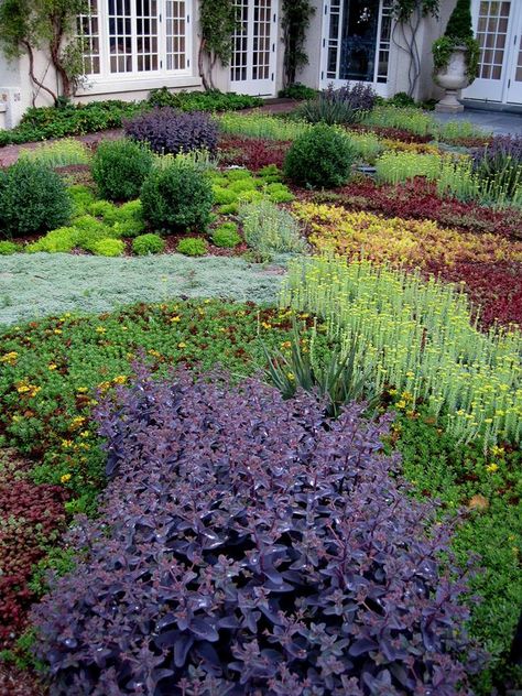 Low growing sedum, thyme and other ground cover plants make a good alternative to grass. Sedum Garden, Grass Alternative, Low Water Landscaping, Lawn Alternatives, Evergreen Garden, Ground Cover Plants, Landscaping Plants, Ground Cover, Shade Garden