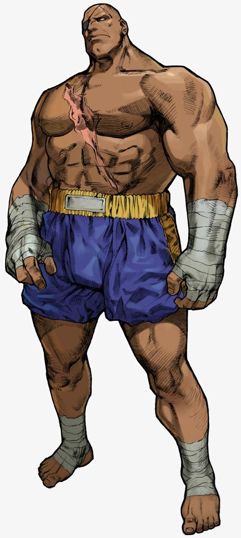 Sagat Street Fighter, Street Fighter Alpha, Nba Jam, Street Fighter, Wwe, Nba, Jam, Zelda Characters, Fan Art