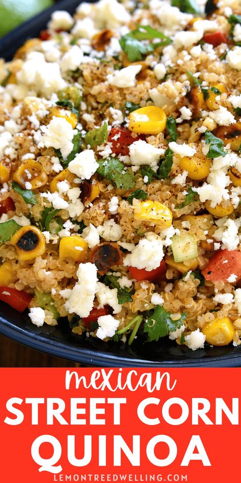 Mexican Street Corn Quinoa is a great way to jazz up a quinoa side dish! Loaded with the delicious flavors of Mexican Street Corn, this quinoa salad recipe is fresh, flavorful, and perfect for summer! Mexican Bean Salad Recipes, Fajita Side Dishes, Quinoa Recipes Side Dish, Chicken Quinoa Recipes, Quinoa Side, Quinoa Side Dish, Mexican Street Corn Salad Recipe, Corn Quinoa, Honey Dinner