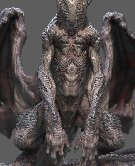 Conceptual Model, Dragon Anatomy, Creature 3d, Zbrush Models, Dragon Family, Humanoid Creatures, Body Structure, Dragon Sculpture, Paleo Art