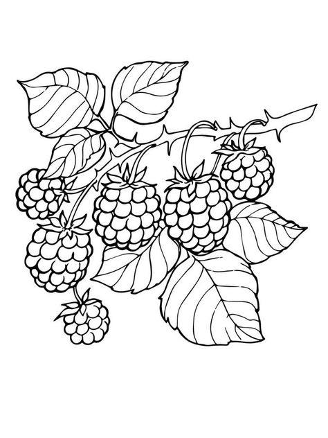 Fruit Coloring Pages, Pola Sulam, 자수 디자인, Printable Crafts, Free Printable Coloring, Free Printable Coloring Pages, Tree Branch, Coloring Book Pages, Digital Stamps