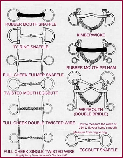 Different Types Of Bits Bits For Horses, Horse Information, Horse Facts, Horse Care Tips, Horse Info, Horse Riding Tips, Horse Anatomy, Horse Camp, Horse Equipment