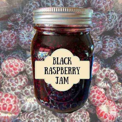 Black Raspberry Jam Black Raspberry Jelly Recipe, Black Raspberry Jam Recipe, Raspberry Jelly Recipe, Black Raspberry Recipes, Black Raspberry Jam, Canning Jam Recipes, Raspberry Jam Recipe, Raspberry Jelly, Jalapeno Jelly