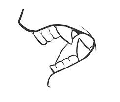 Teeth Mouth References, Mouth Reference, Teeth Drawing, Vampire Drawings, Character Design Cartoon, Mouth Drawing, White Drawing, Sharp Teeth, Drawing Expressions