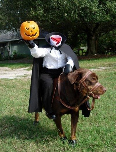 diy headless horseman dog costume - DIY Dog Halloween Costumes - Make your own Halloween costume for your dog - scary dog costumes - unique pet costume Headless Horseman Costume, Best Dog Halloween Costumes, Funny Pet Costumes, Best Dog Costumes, Dog Costumes Funny, Halloween Fest, Homemade Costume, Headless Horseman, Pet Halloween Costumes