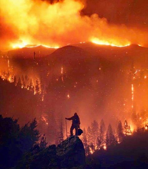 Wildland Fire, Wildland Firefighter, California Wildfires, Future Job, Camping Photography, Fire Photography, Rpg Characters, Wild Fire, Forest Fire