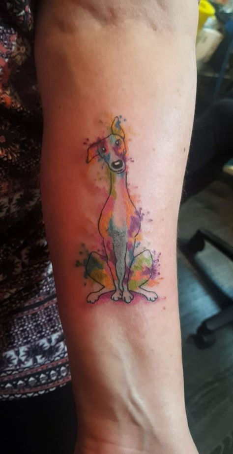 Greyhound Tattoo, Pet Tattoo Ideas, Animal Tattoos For Women, Minimal Tattoo Designs, Pet Tattoos, Minimal Tattoo Ideas, Dog Memorial Tattoos, Universe Tattoo, Memorial Tattoo