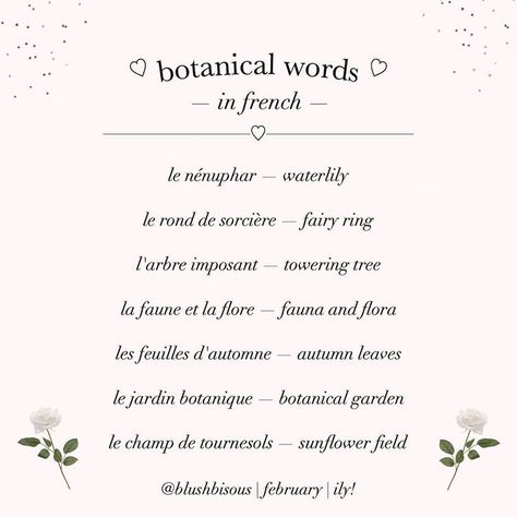 Soft French Words, Ethereal Words, French Words Aesthetic, Angelic Words, France Words, Pretty French Words, Words Aesthetic, French Words Quotes, Random Words