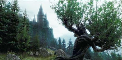 the Whomping Willow; Harry Potter and the Prisoner of Azkaban Dark Academia Wallpaper Laptop, Harry Potter Pc, Harry Potter Background, Harry Potter Icons, The Prisoner, The Prisoner Of Azkaban, Hogwarts Castle, Potter Facts, Hogwarts Aesthetic